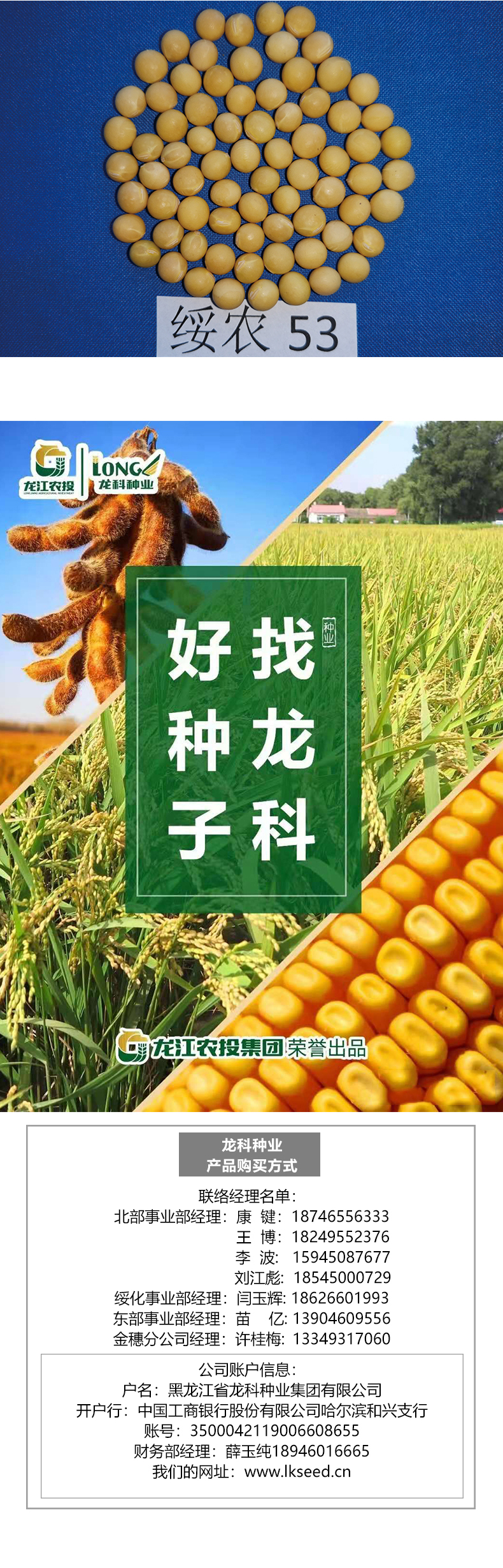 綏農(nóng)53產(chǎn)品詳情_03.jpg