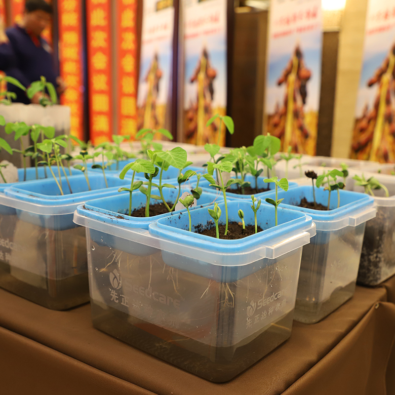 1590126638930679.jpg 綏農(nóng)42-04.jpg