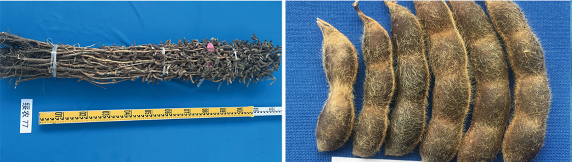 1677825871309589.jpg 1.jpg